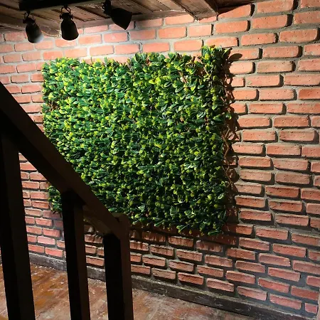 Samlioglu Historical * ترابزون