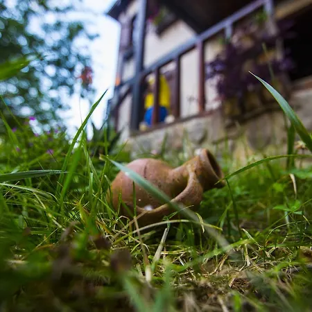 Samlioglu Historical بيت ضيافة ترابزون