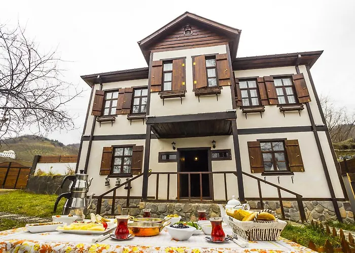 Samlioglu Historical *