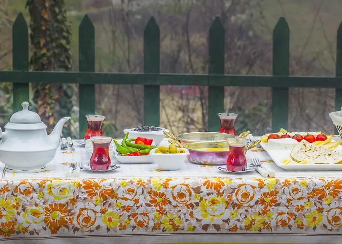 Penzion Samlioglu Historical *