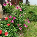 Guest house Samlioglu Historical *