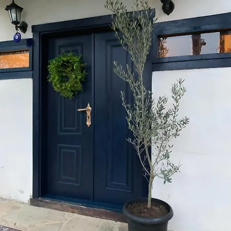 Samlioglu Historical ترابزون