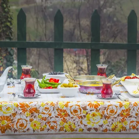 Гостевой дом Samlioglu Historical *