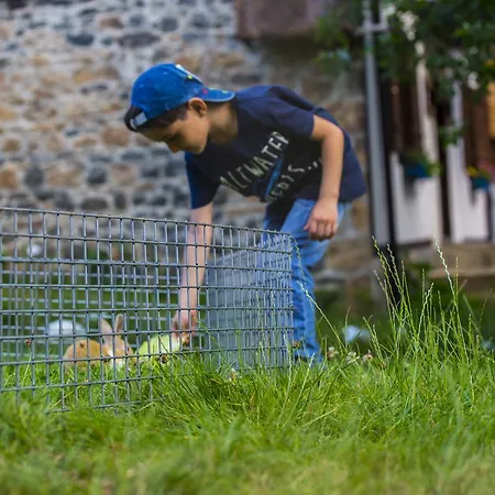 Samlioglu Historical ترابزون