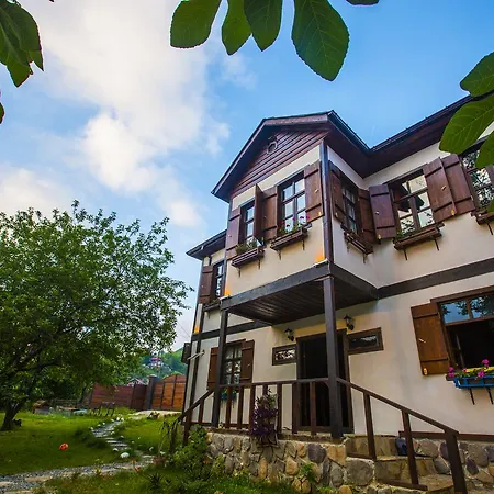 Samlioglu Historical *