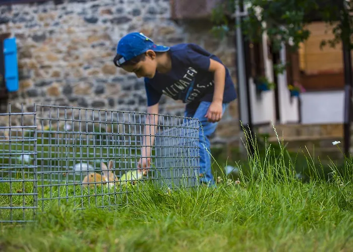 Samlioglu Historical Trabzon