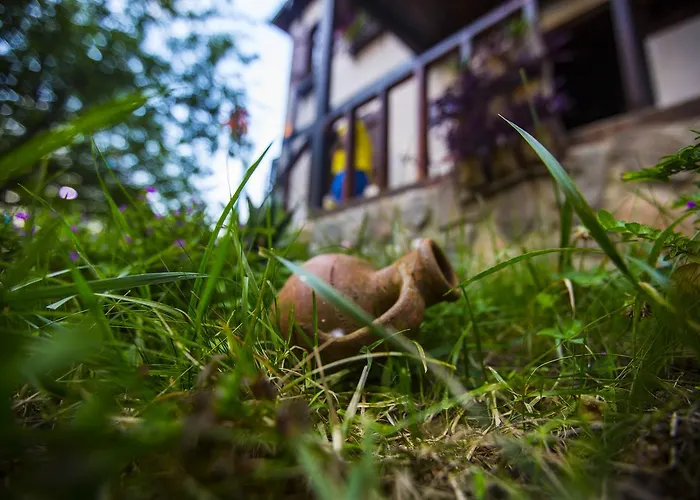 Samlioglu Historical Guest house Trabzon